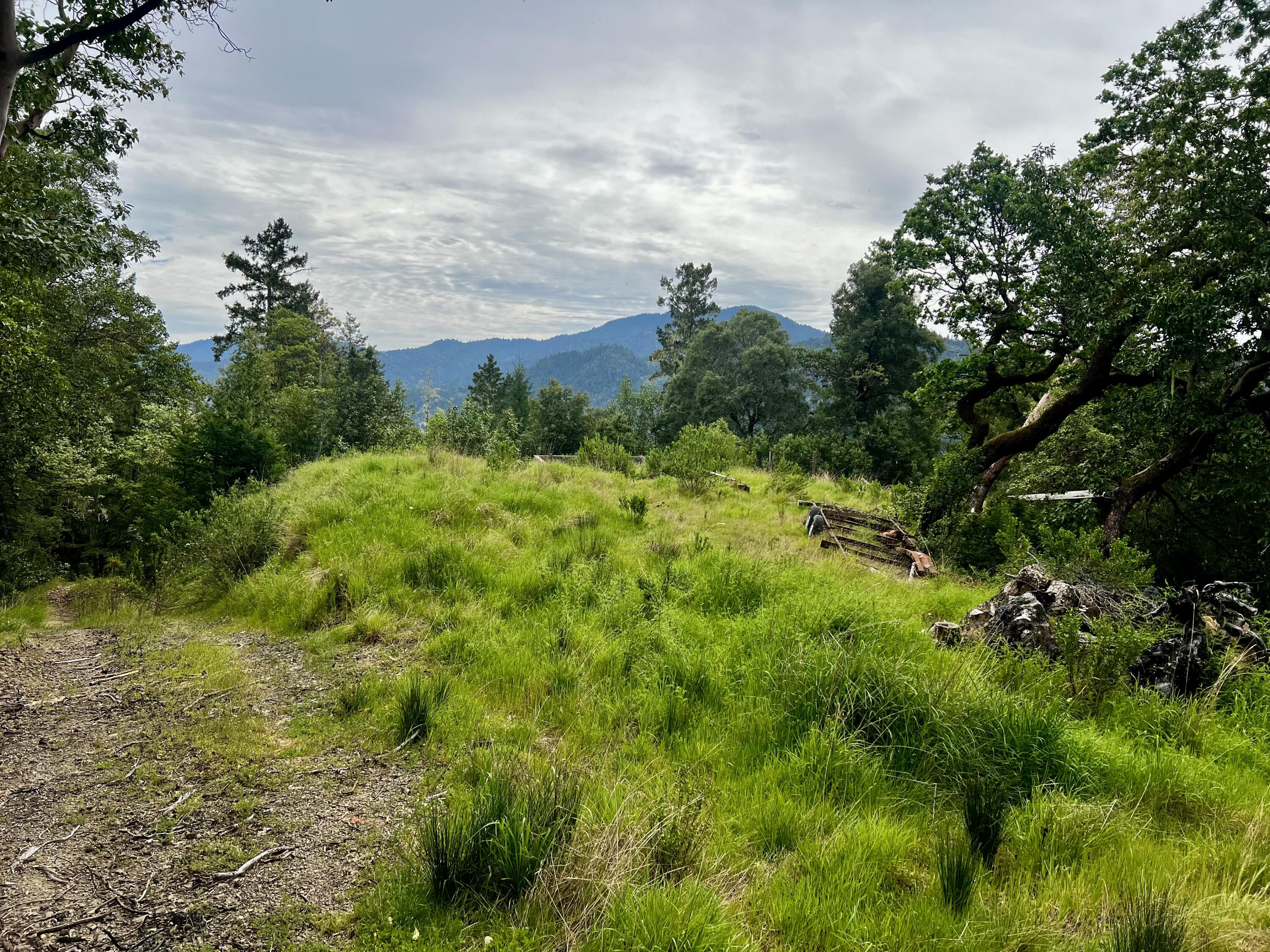 1880 Tunnel Road Redway, CA 95560 - Photo 11 of 13