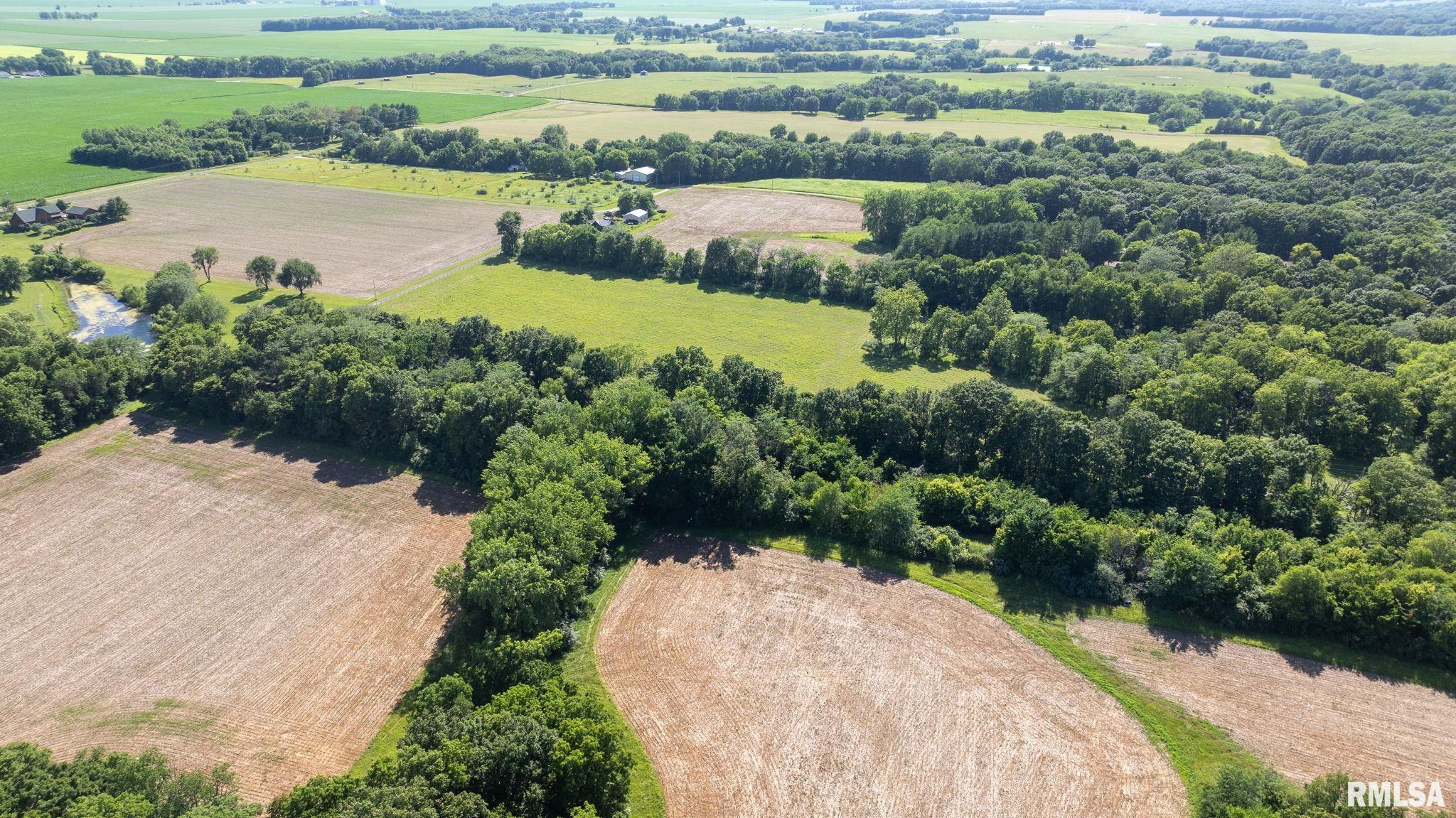 8543 Frey Road Pleasant Plains, IL 62677 - Photo 3 of 23