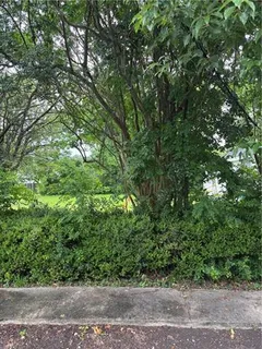 $38,900 | 1336 Numa Street, New Orleans, LA 70114