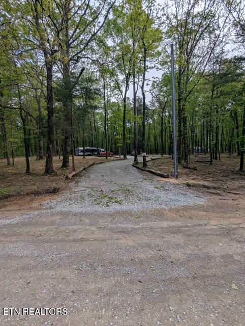 474 West Ridge Rd Road Crossville, TN 38572 - Photo 5 of 5 Entery Driveway