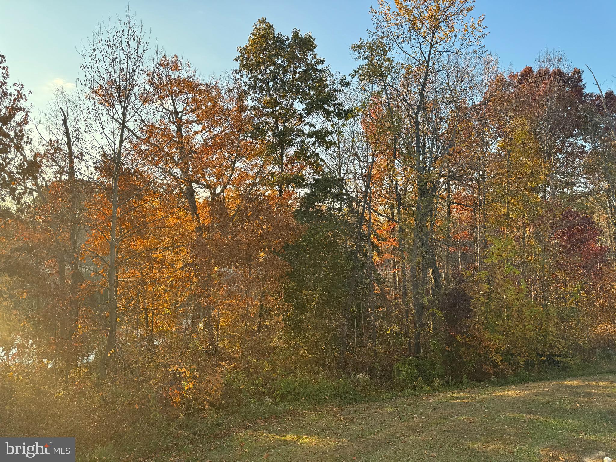 248 Trails Way Joppa, MD 21085 - Photo 35 of 47