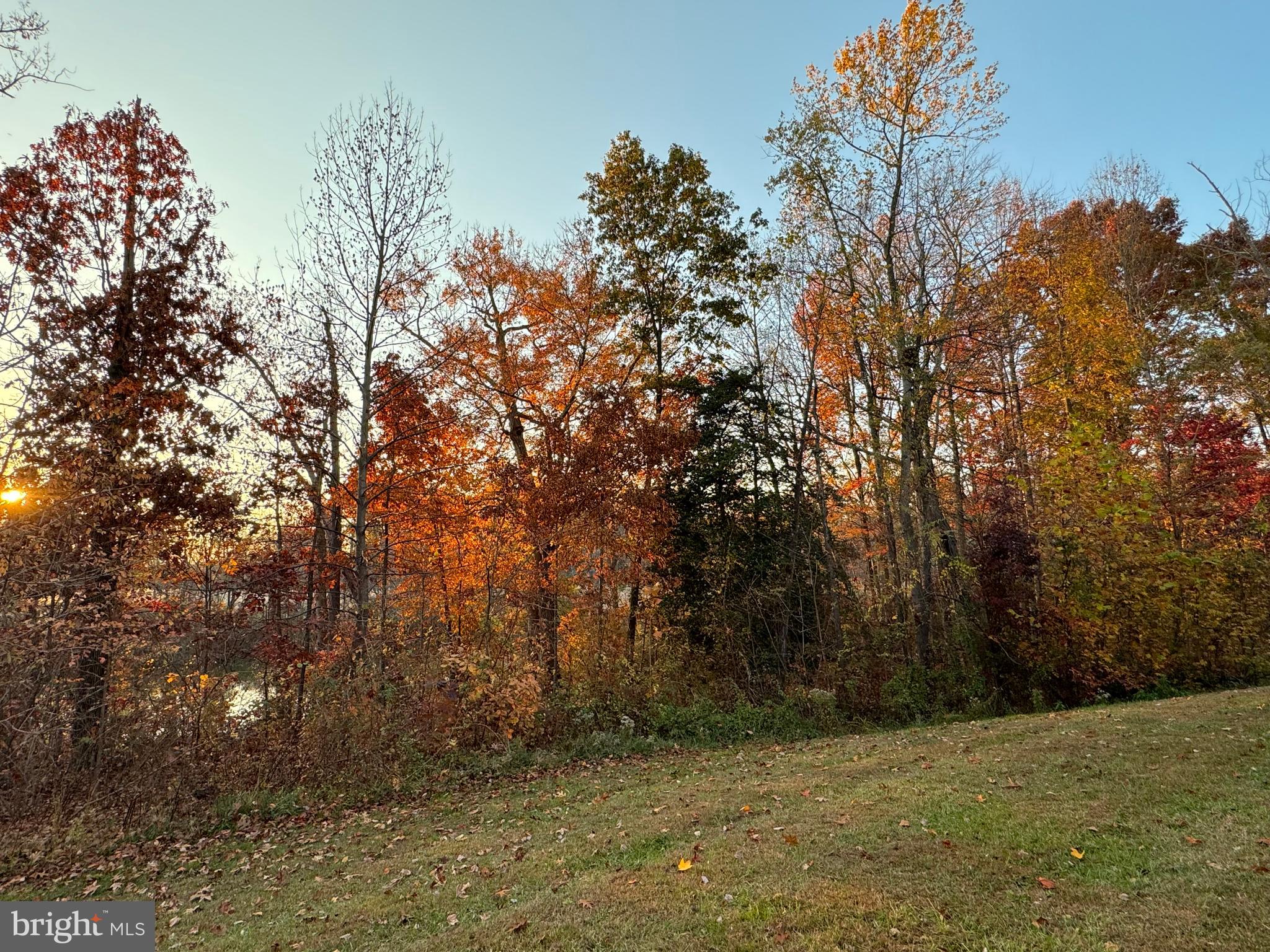 248 Trails Way Joppa, MD 21085 - Photo 42 of 47