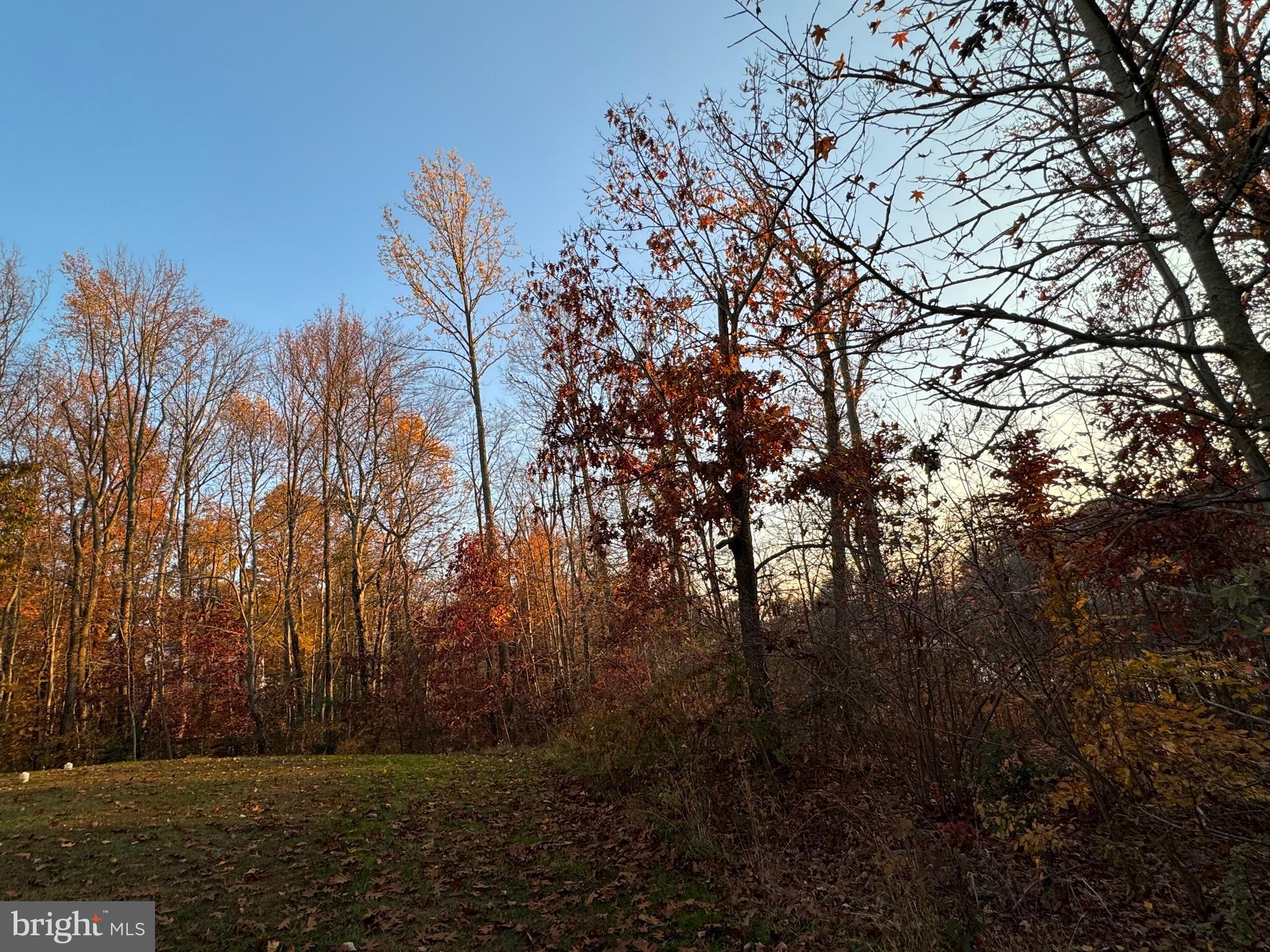 248 Trails Way Joppa, MD 21085 - Photo 43 of 47