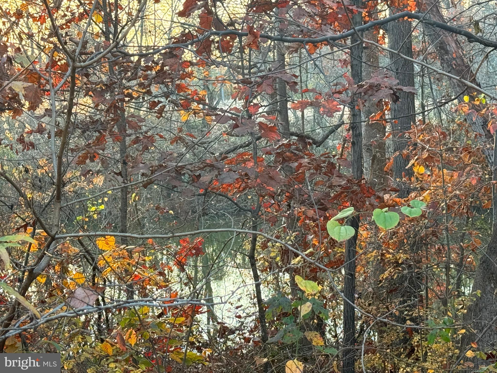 248 Trails Way Joppa, MD 21085 - Photo 44 of 47