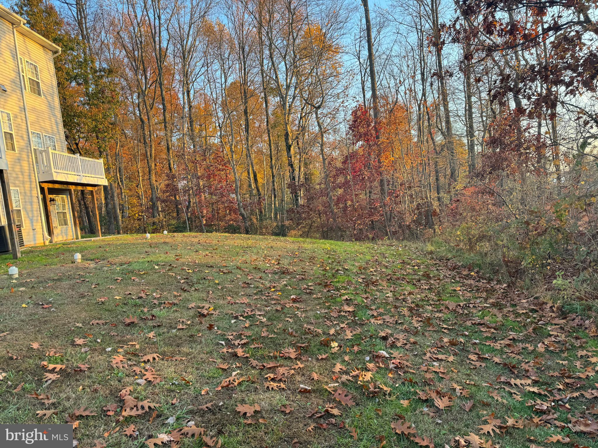 248 Trails Way Joppa, MD 21085 - Photo 45 of 47