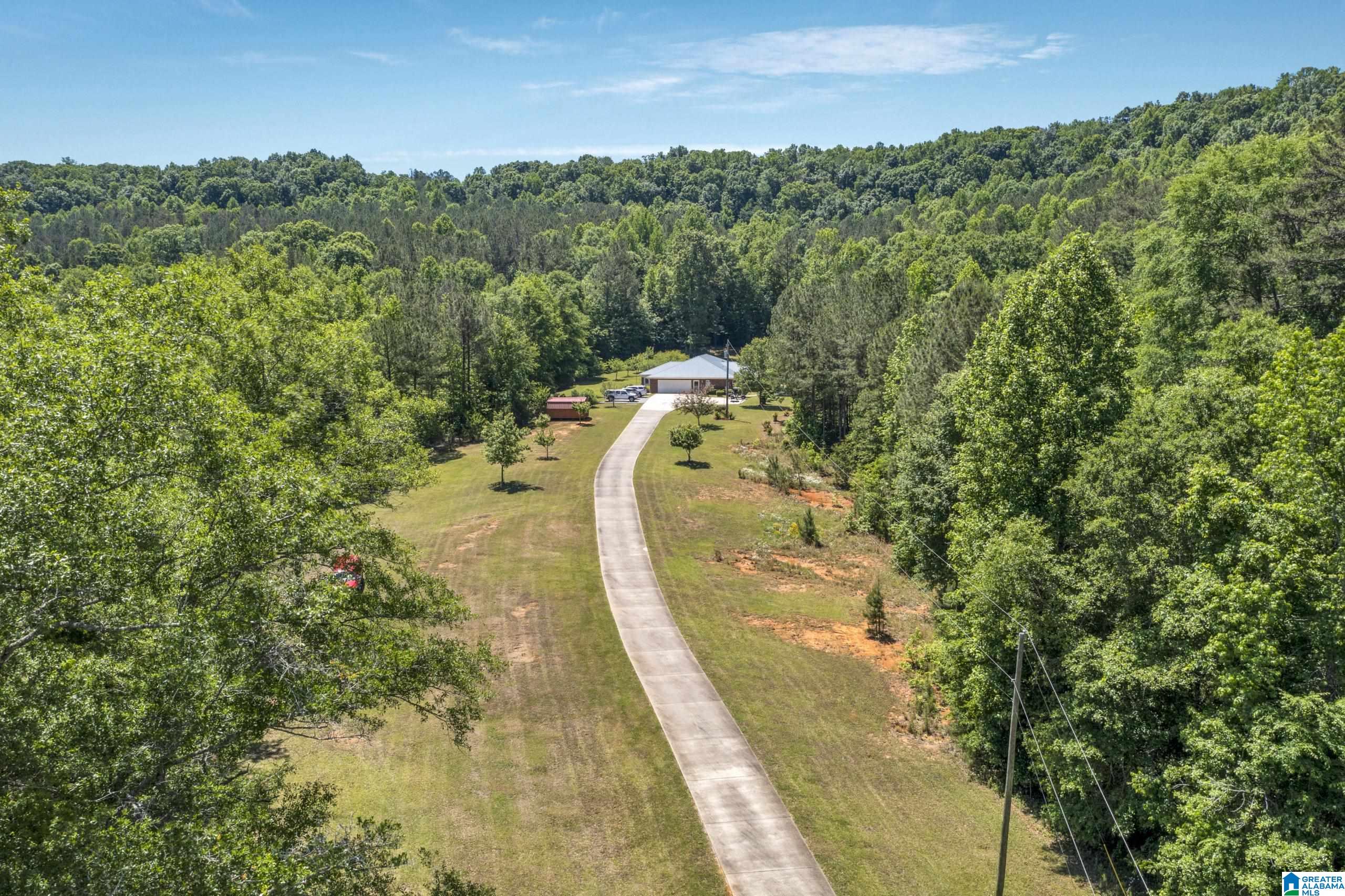 466 Seven Springs Road Wellington, AL 36279 - Photo 61 of 62