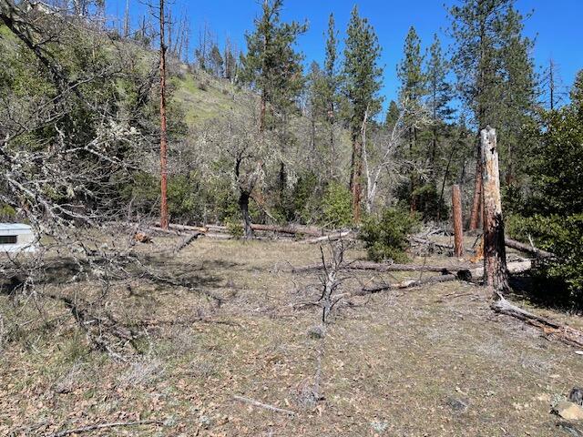 Kinney Cr Road, Unit 400 Jacksonville, OR 97530 - Photo 10 of 15