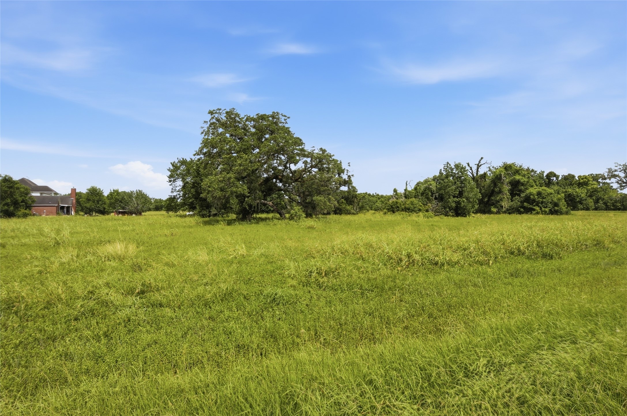 1011 West Farm To Market 1462 Rosharon, TX 77583 - Photo 8 of 12