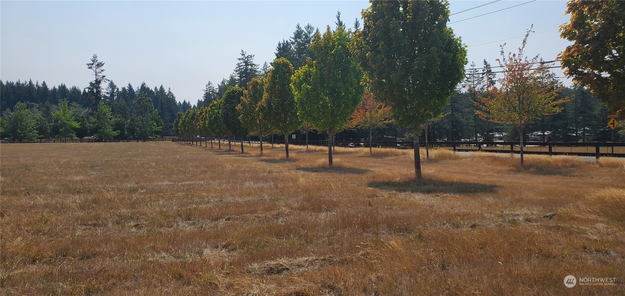 22710 Wax Orchard Road Southwest Vashon, WA 98070 - Photo 11 of 21 a view of outdoor space with trees