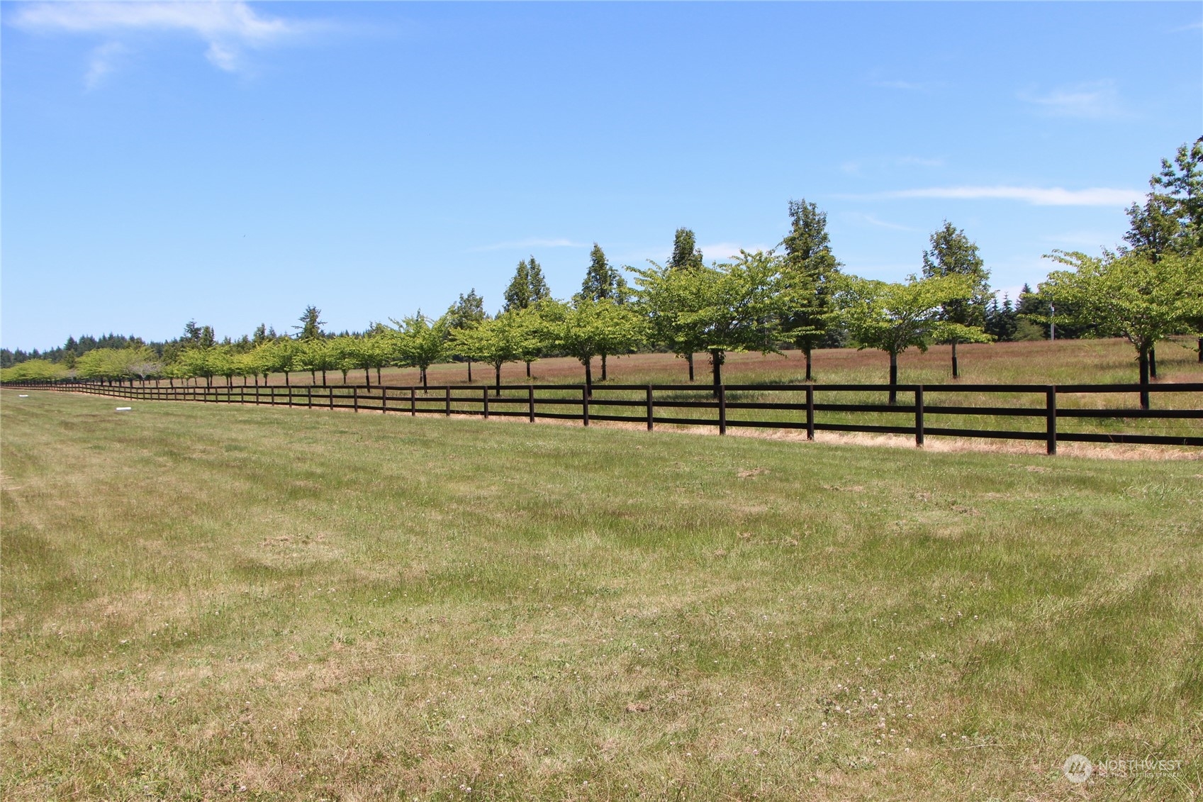 22710 Wax Orchard Road Southwest Vashon, WA 98070 - Photo 12 of 21 a view of outdoor space and yard