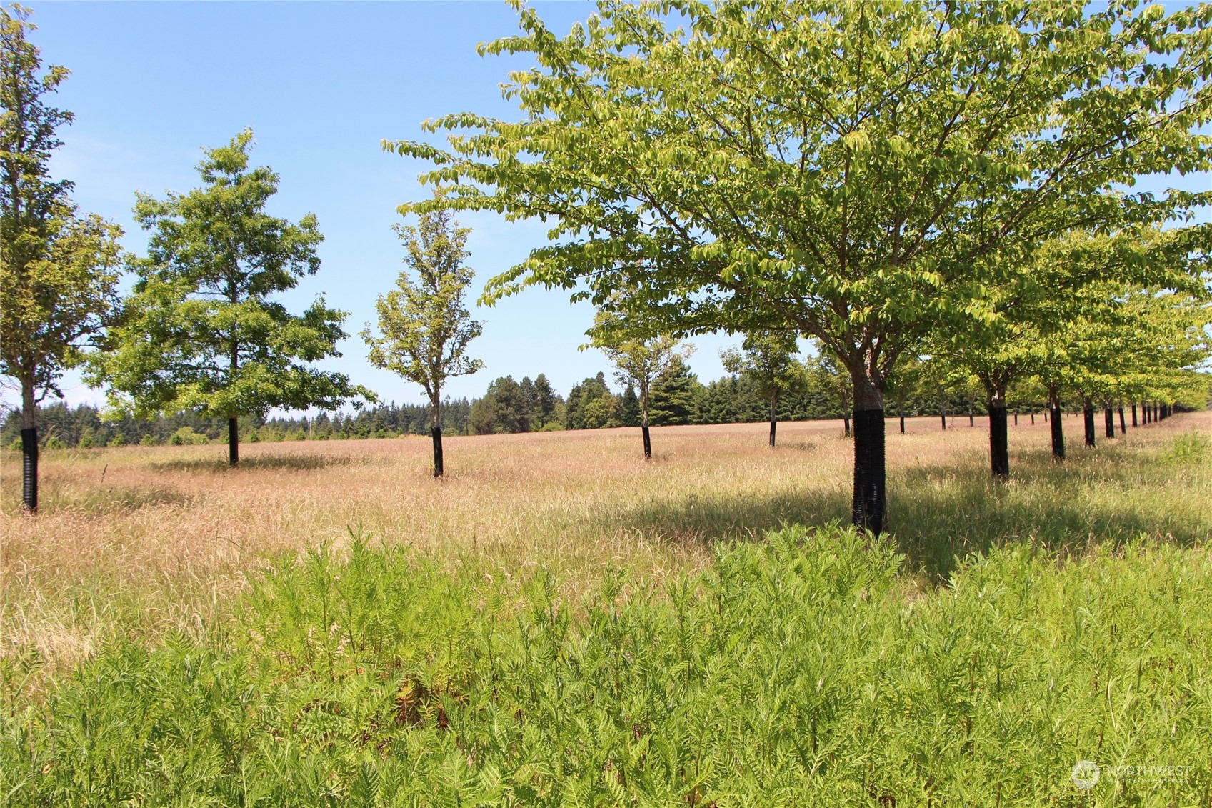 22710 Wax Orchard Road Southwest Vashon, WA 98070 - Photo 14 of 21