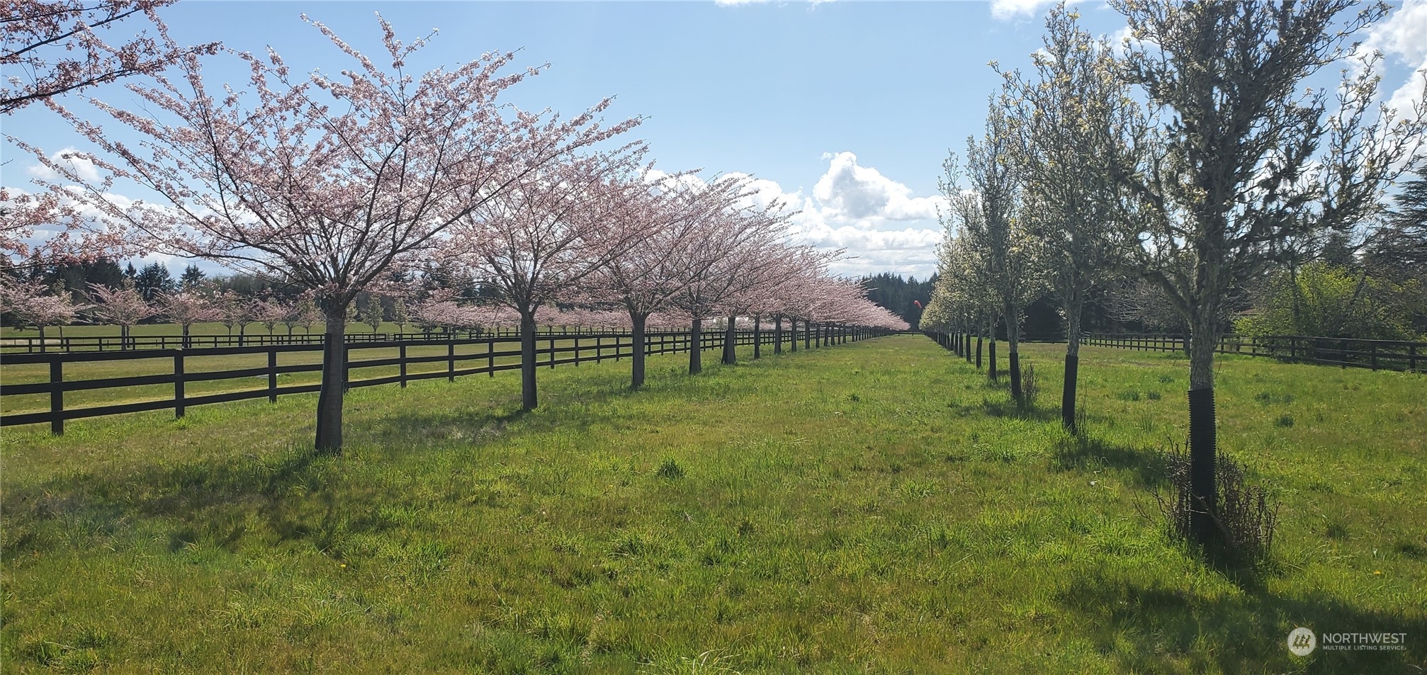 22710 Wax Orchard Road Southwest Vashon, WA 98070 - Photo 16 of 21 a view of a park with large trees