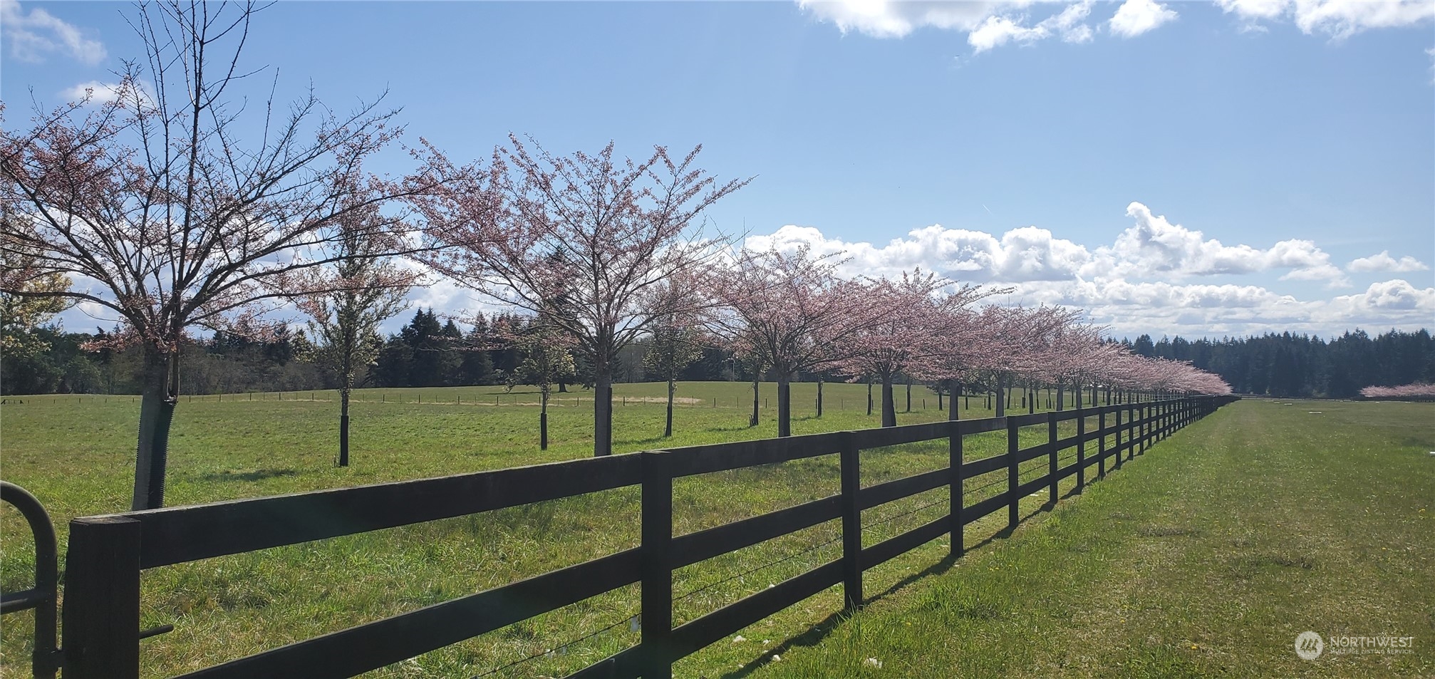 22710 Wax Orchard Road Southwest Vashon, WA 98070 - Photo 17 of 21 a view of park with large trees