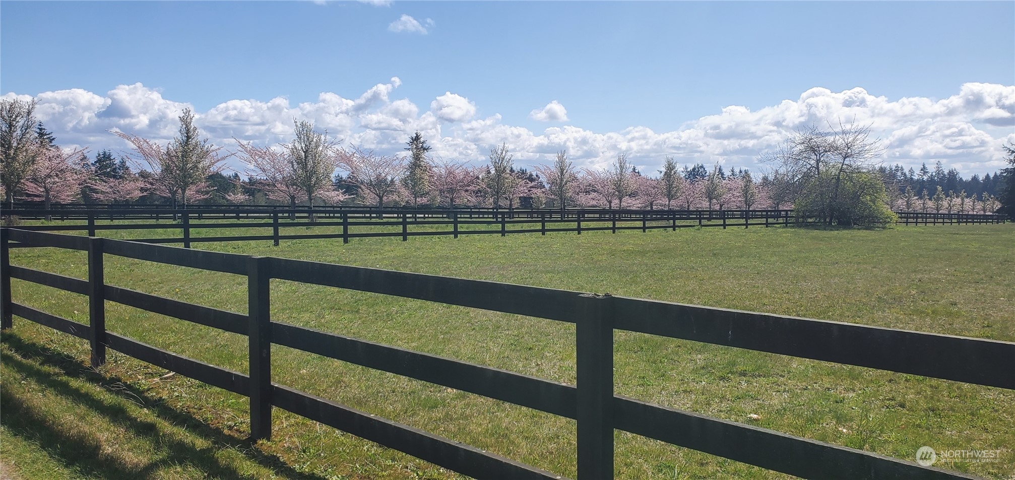 22710 Wax Orchard Road Southwest Vashon, WA 98070 - Photo 19 of 21 a view of a green yard with a lake view