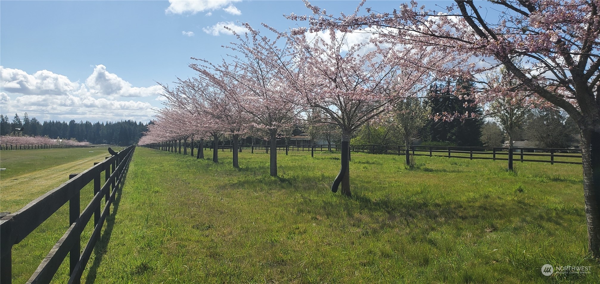 22710 Wax Orchard Road Southwest Vashon, WA 98070 - Photo 20 of 21 a view of a park