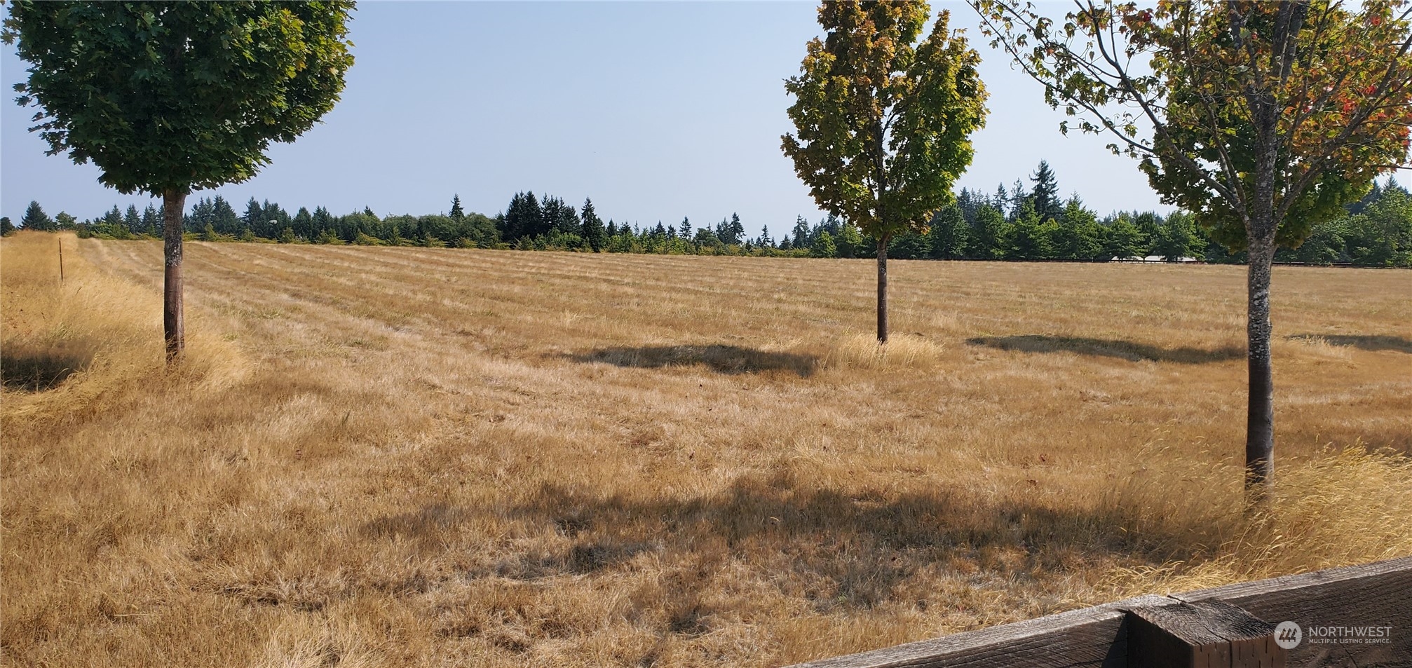 22710 Wax Orchard Road Southwest Vashon, WA 98070 - Photo 7 of 21 a backyard of a house with lots of green space