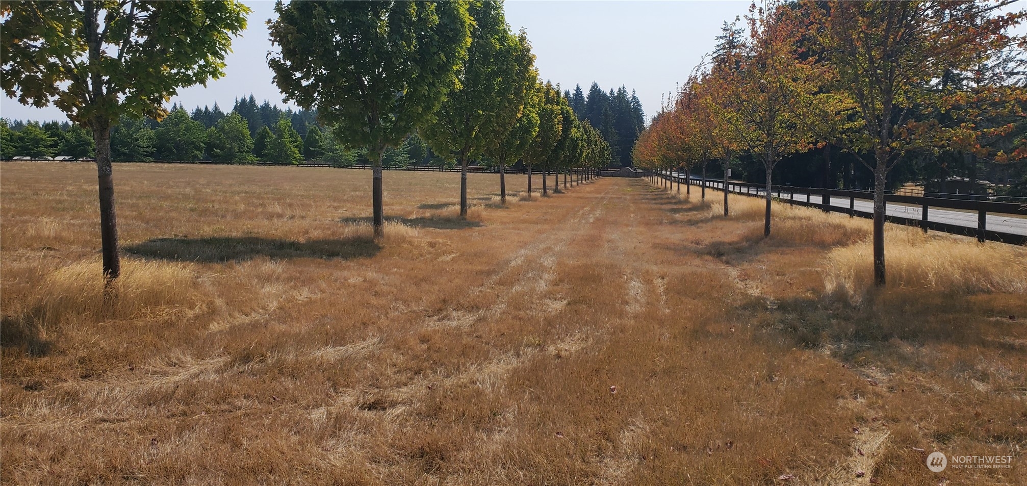 22710 Wax Orchard Road Southwest Vashon, WA 98070 - Photo 8 of 21 a view of outdoor space