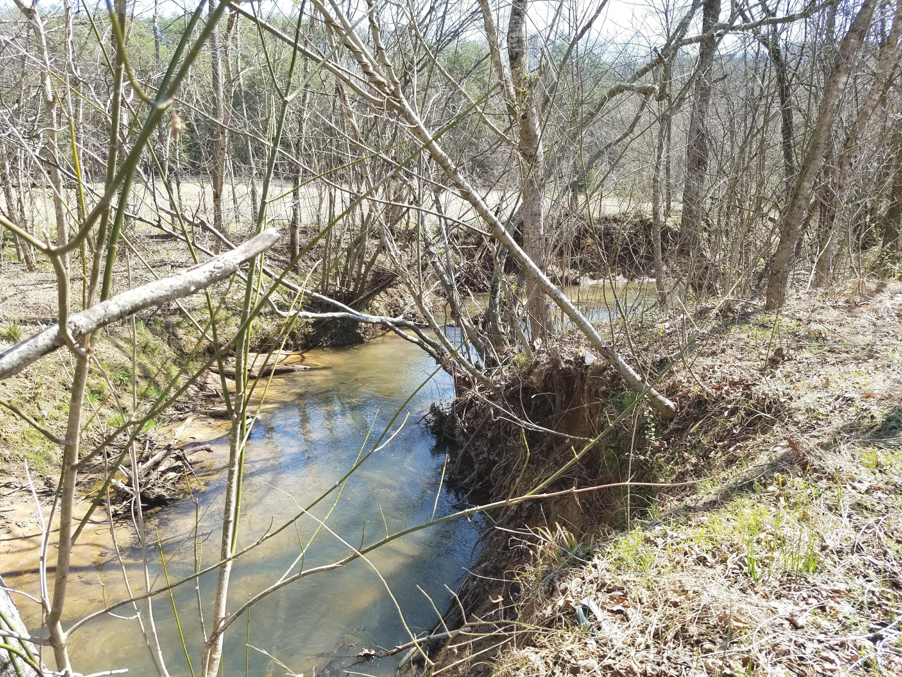 2767 Jericho Road Maryville, TN 37803 - Photo 3 of 23 Creek/Fishing Hole