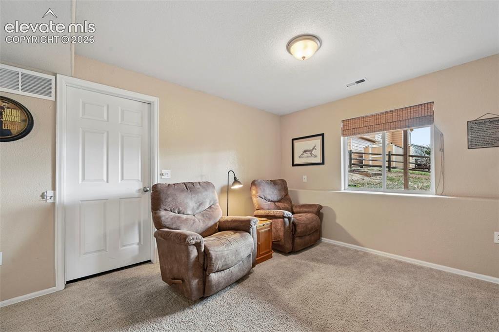 12571 Scamper Road Peyton, CO 80831 - Photo 29 of 49 Basement entertainment area