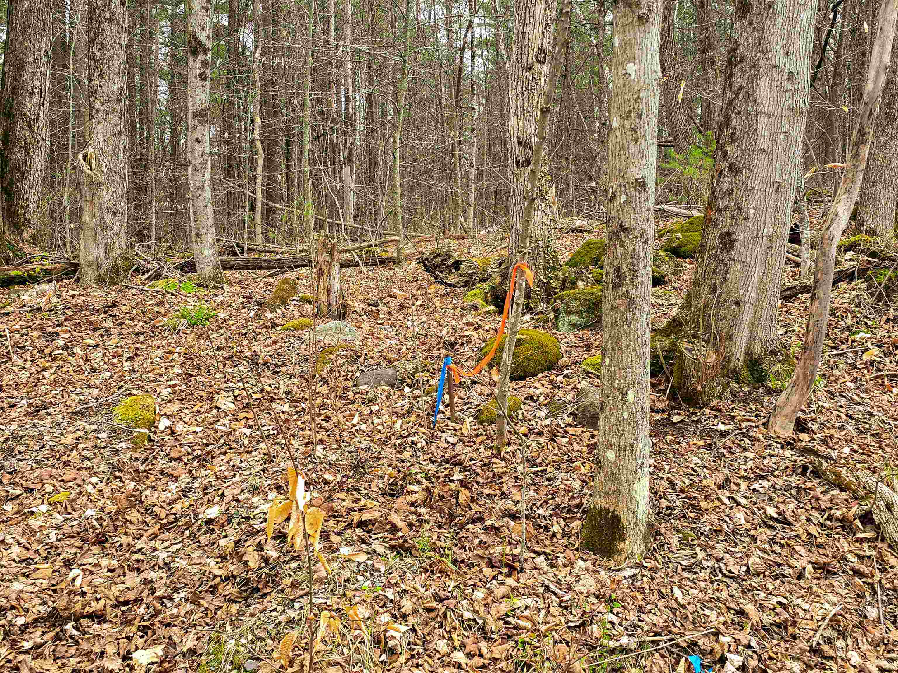 765 Camp Road Hubbardton, VT 05733 - Photo 16 of 38