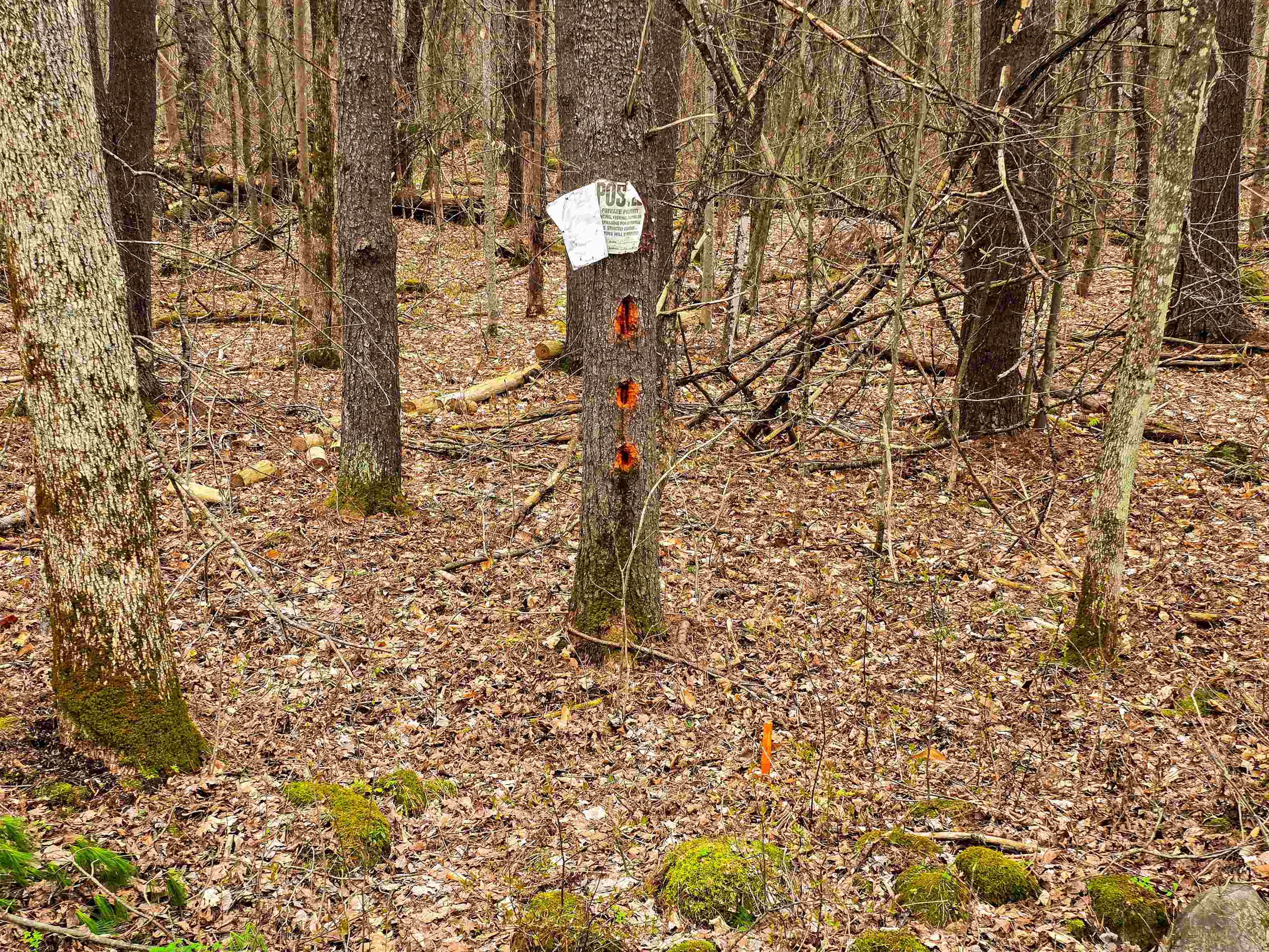 765 Camp Road Hubbardton, VT 05733 - Photo 18 of 38