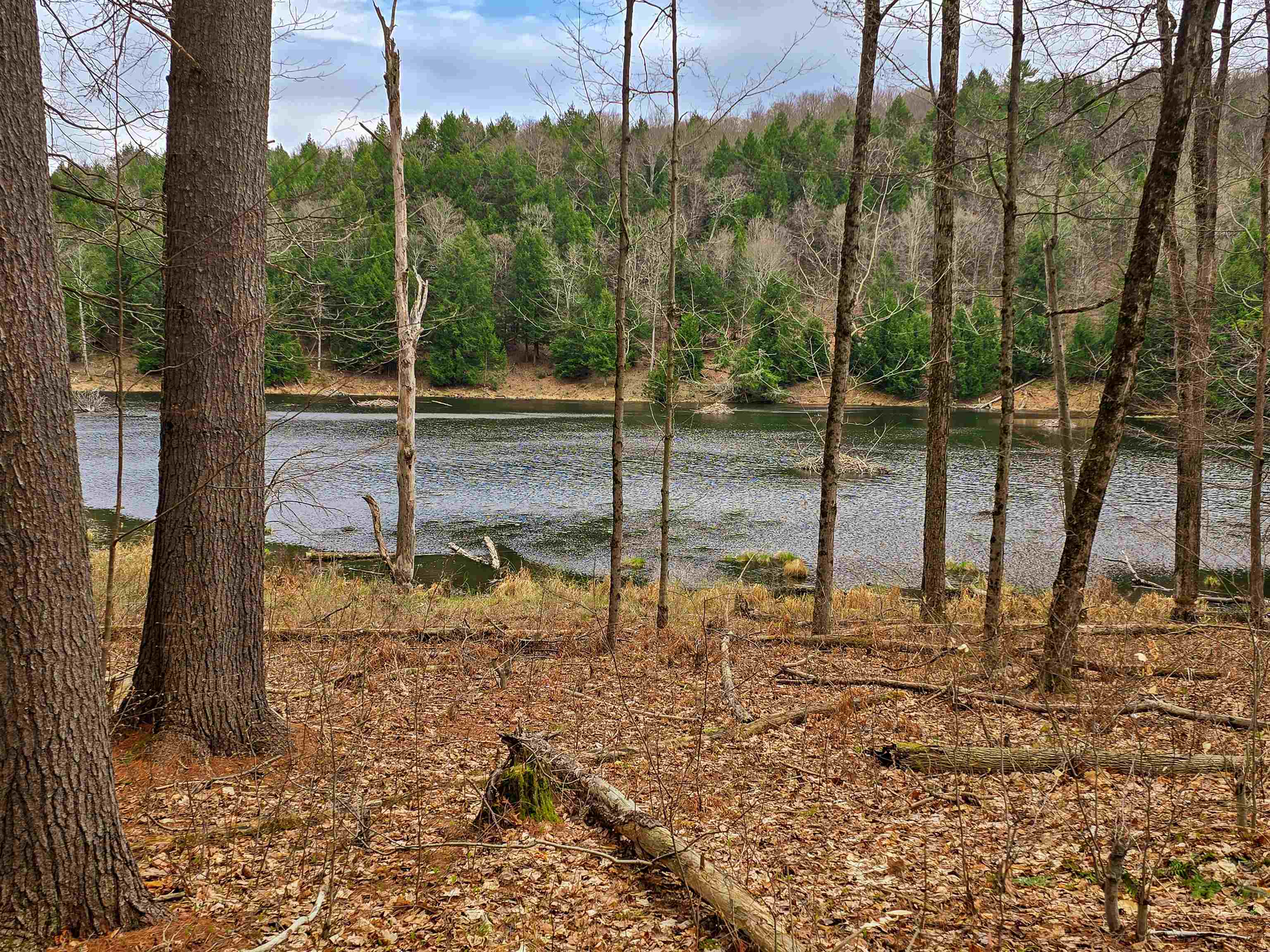 765 Camp Road Hubbardton, VT 05733 - Photo 20 of 38