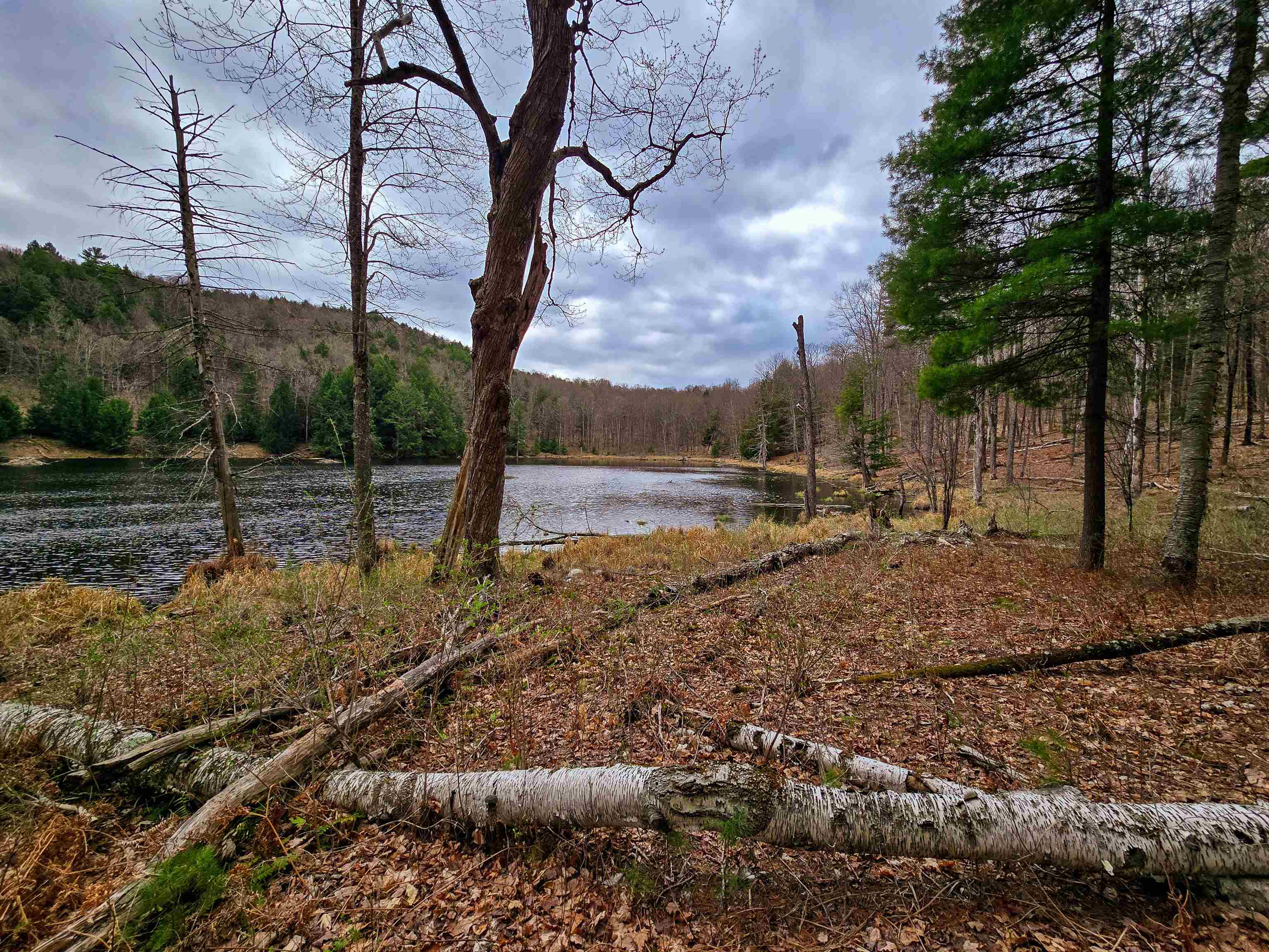 765 Camp Road Hubbardton, VT 05733 - Photo 21 of 38