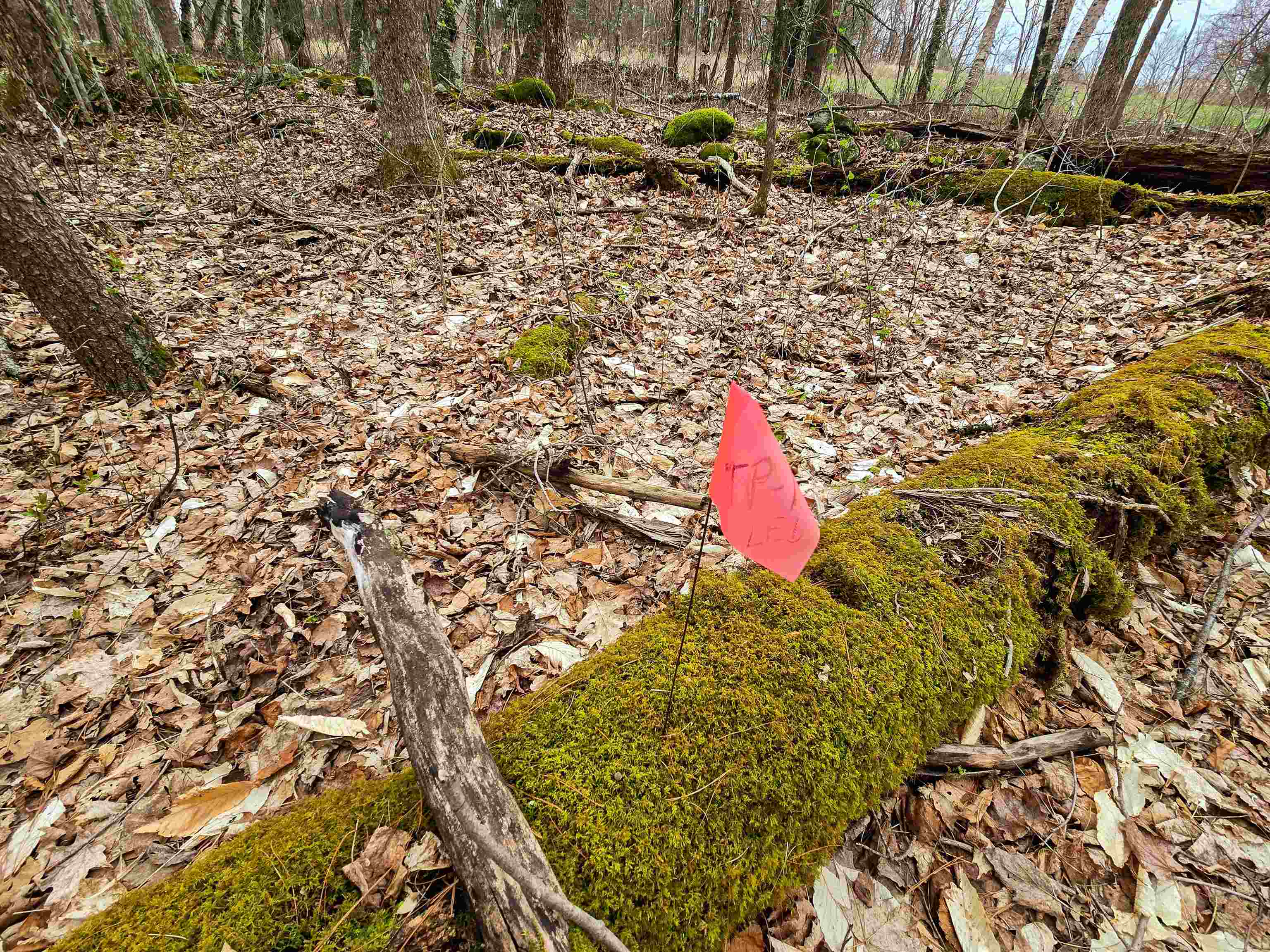 765 Camp Road Hubbardton, VT 05733 - Photo 27 of 38