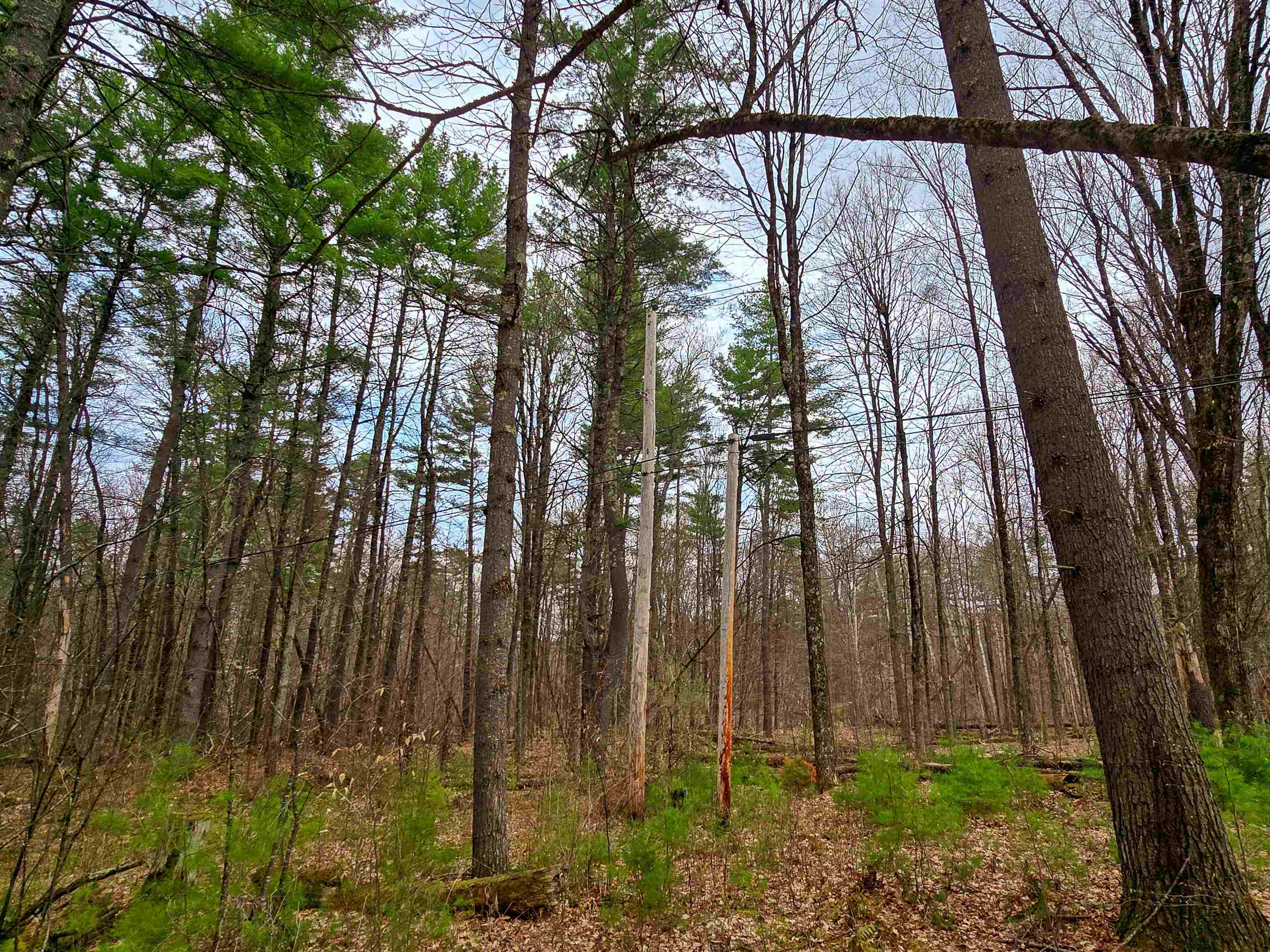 765 Camp Road Hubbardton, VT 05733 - Photo 29 of 38