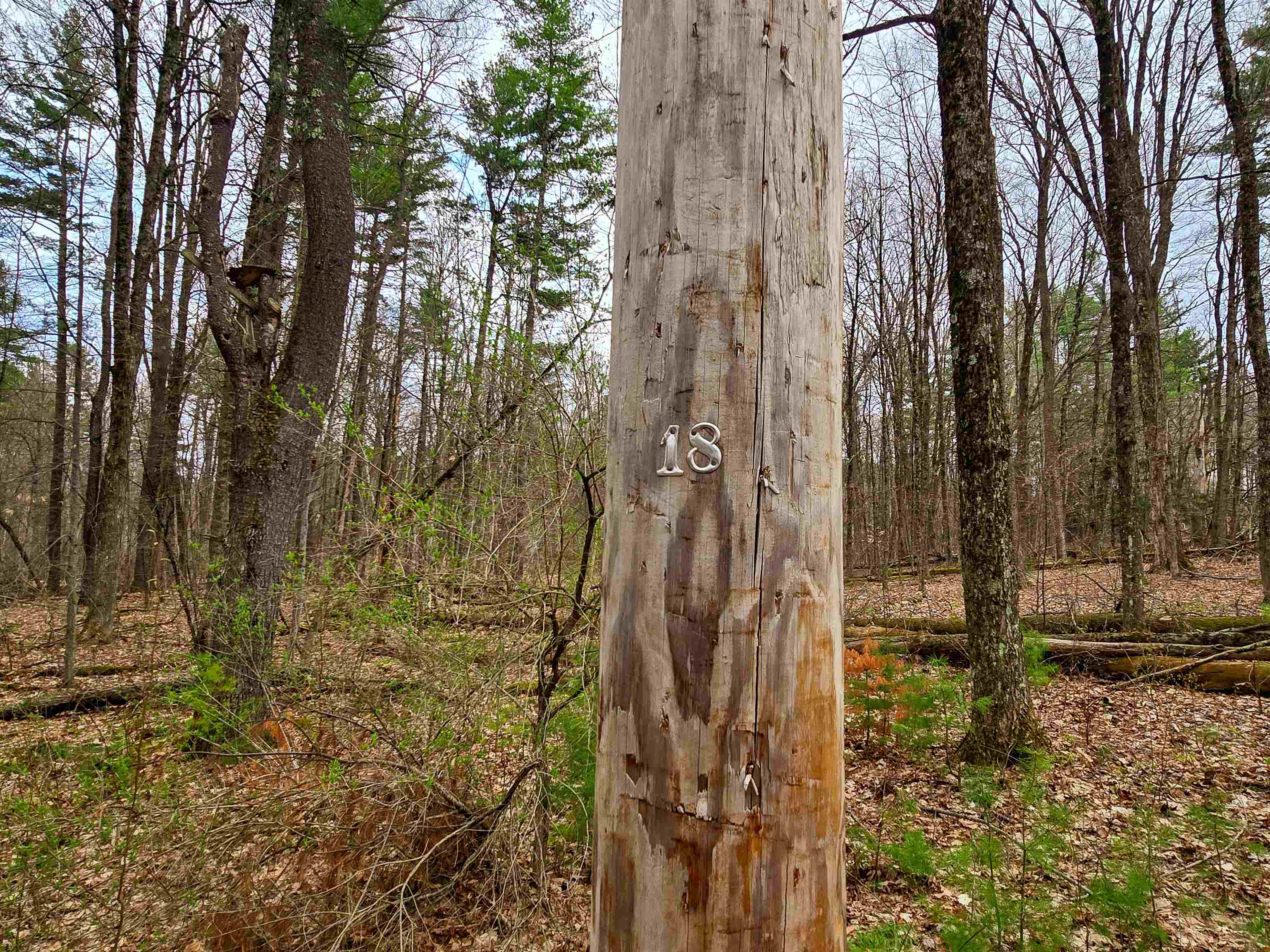 765 Camp Road Hubbardton, VT 05733 - Photo 30 of 38