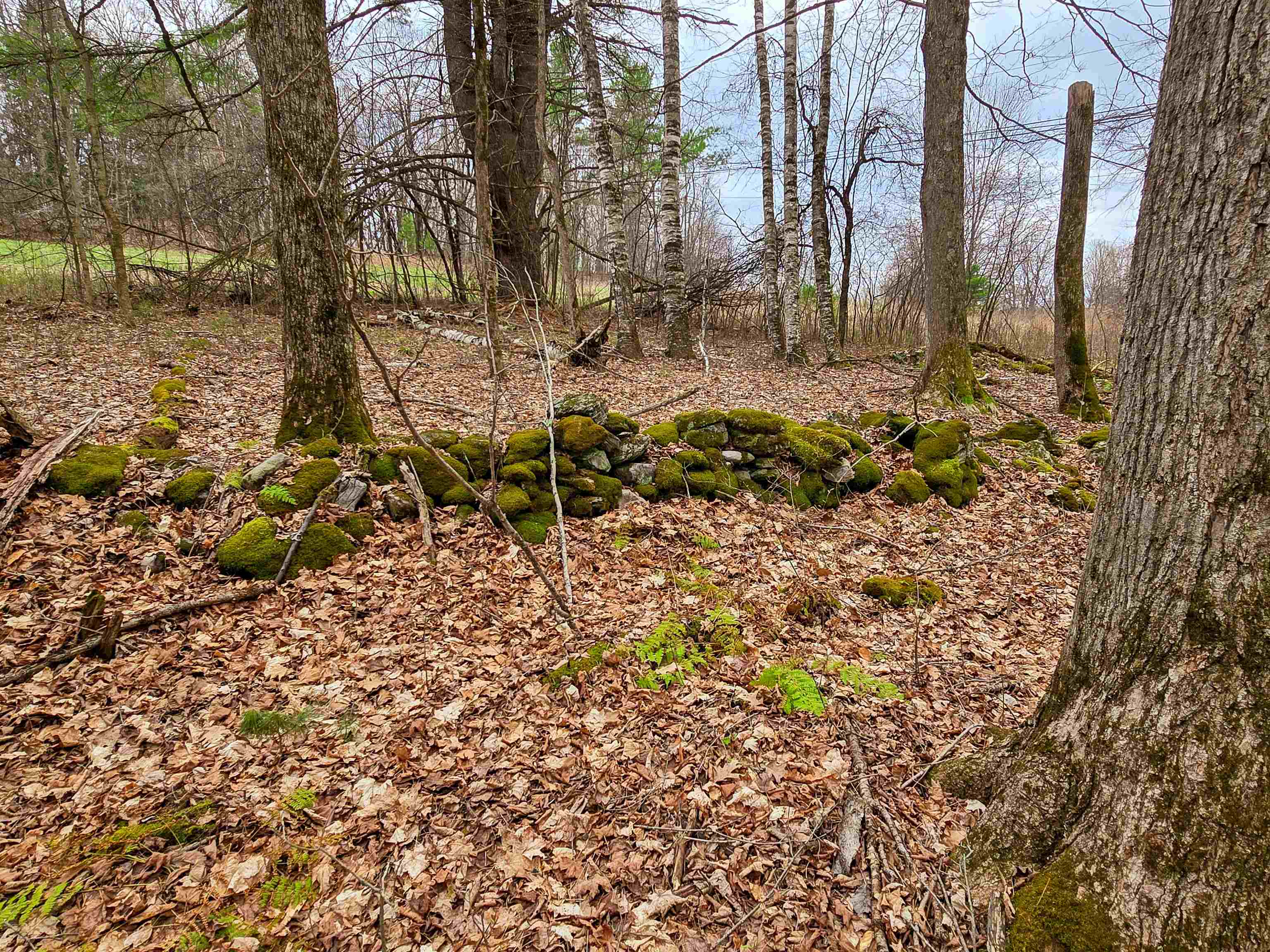 765 Camp Road Hubbardton, VT 05733 - Photo 31 of 38