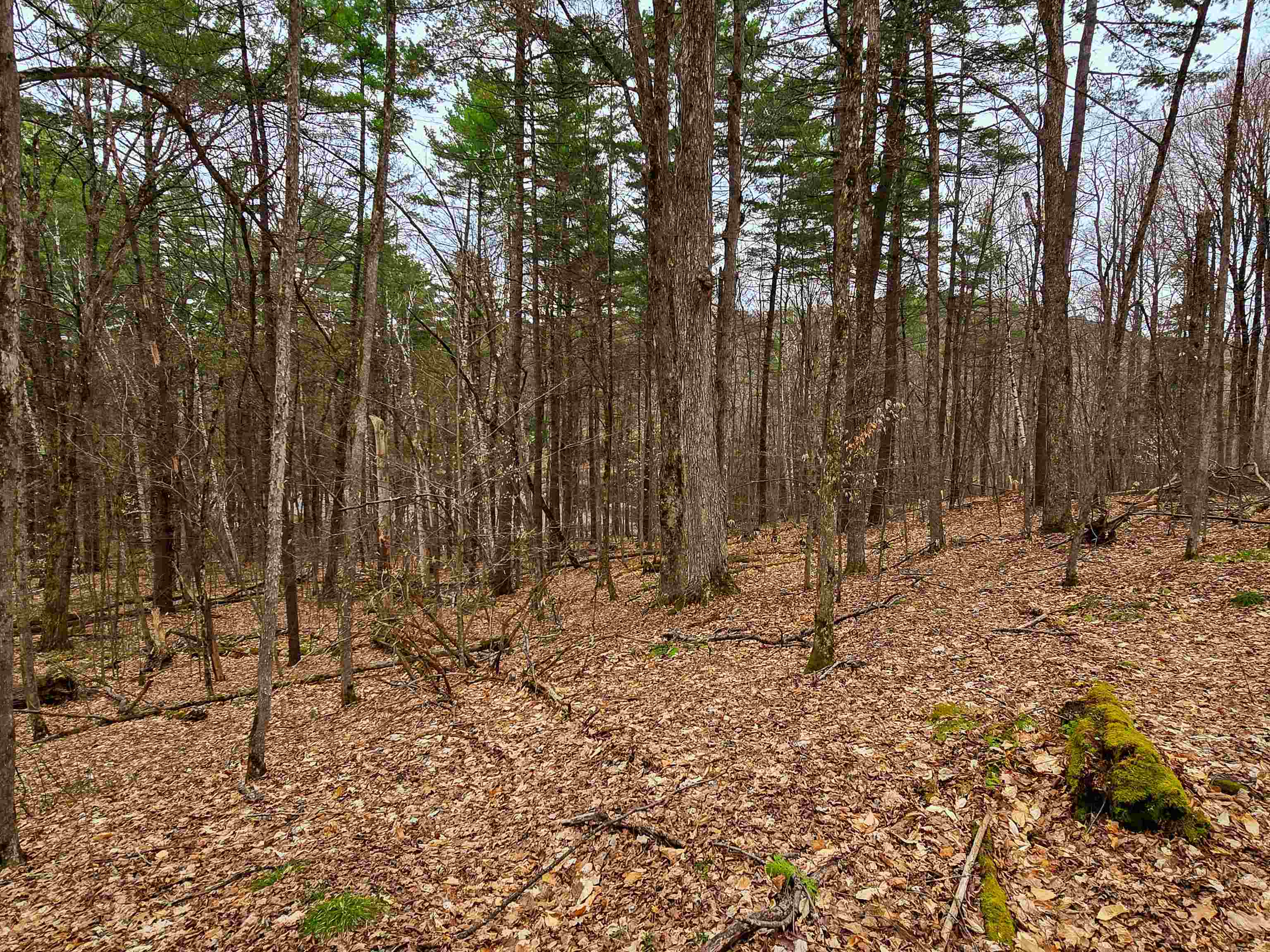 765 Camp Road Hubbardton, VT 05733 - Photo 32 of 38
