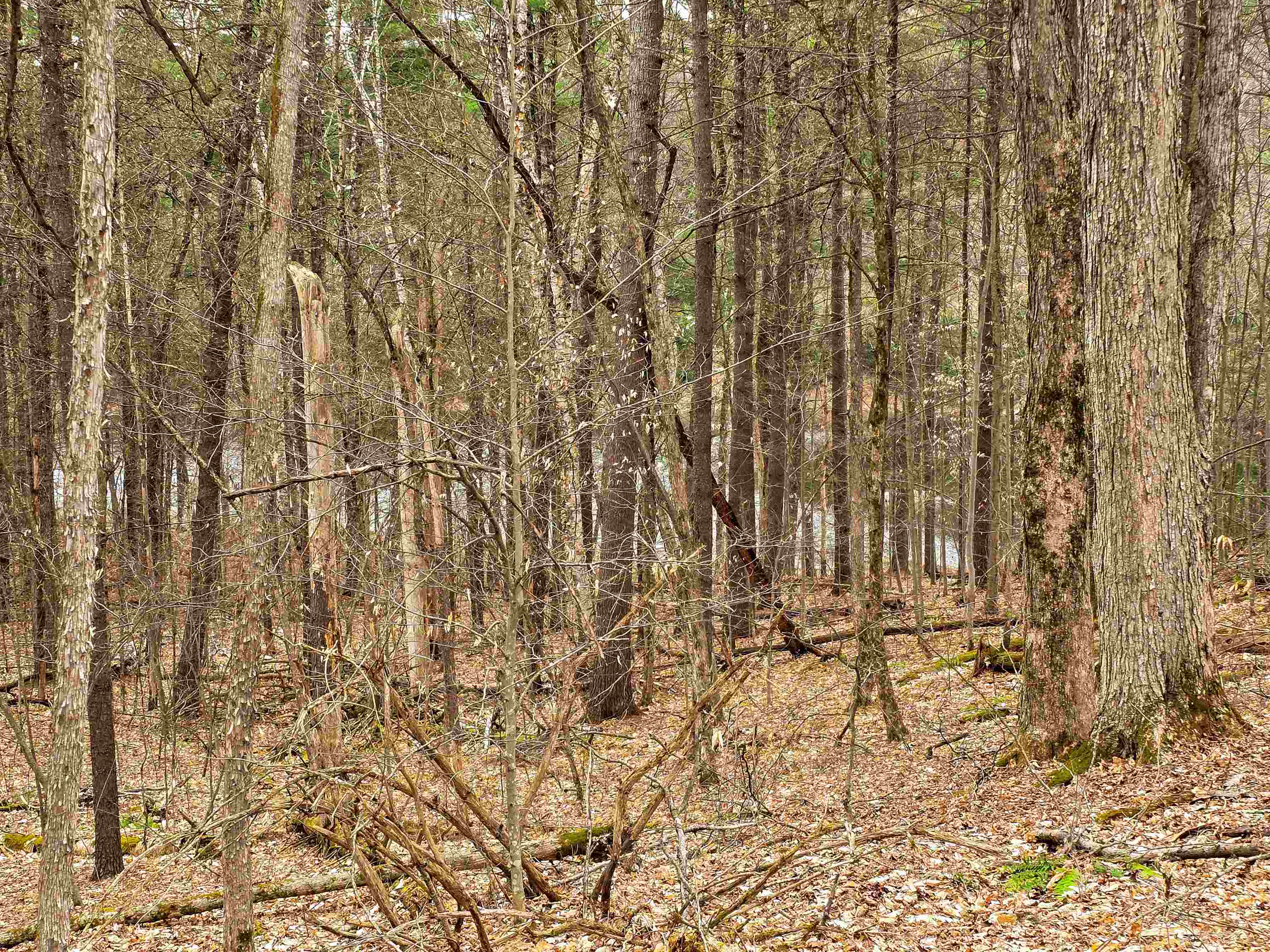 765 Camp Road Hubbardton, VT 05733 - Photo 33 of 38