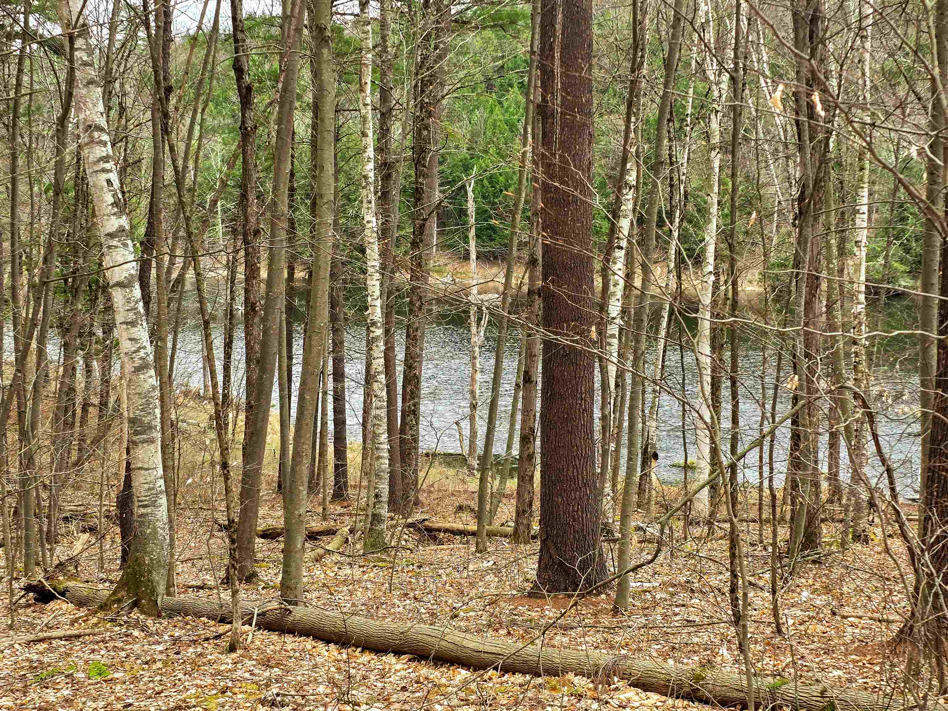 765 Camp Road Hubbardton, VT 05733 - Photo 34 of 38
