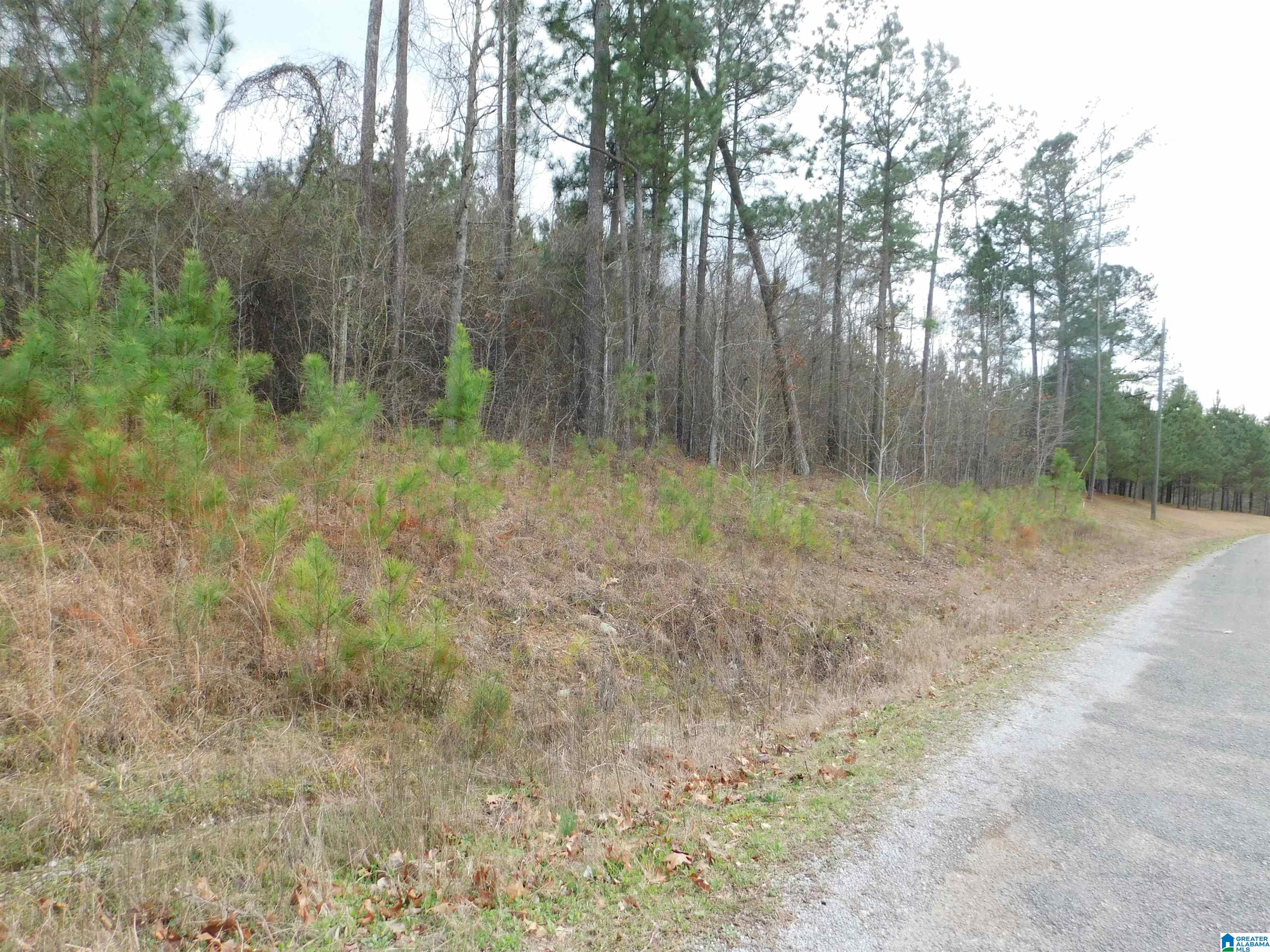 0 Lock 1 Road, Unit 2 Ashville, AL 35953 - Photo 6 of 13