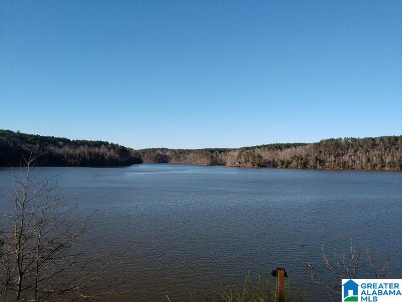 8781 Smith Camp Road Adger, AL 35006 - Photo 1 of 12