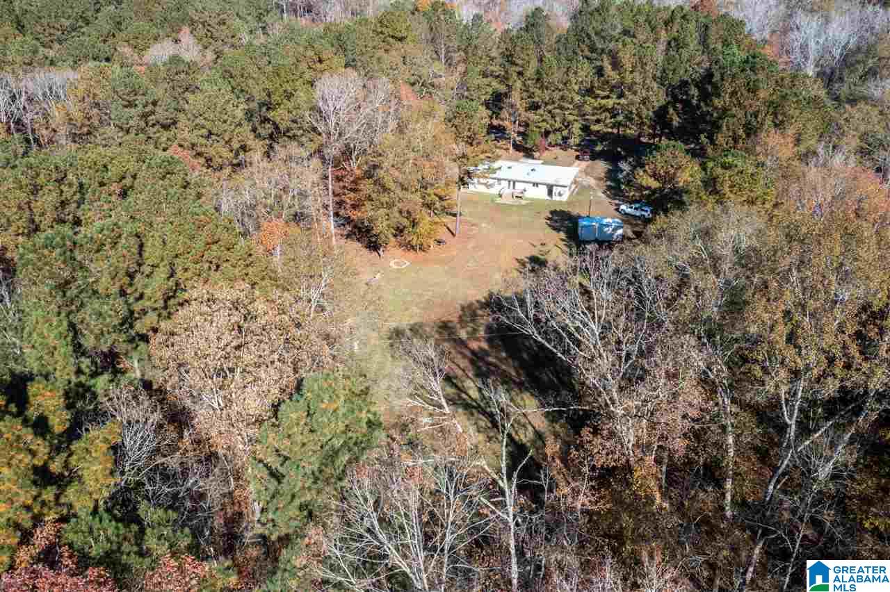 481 Highway 45 Sterrett, AL 35147 - Photo 38 of 41