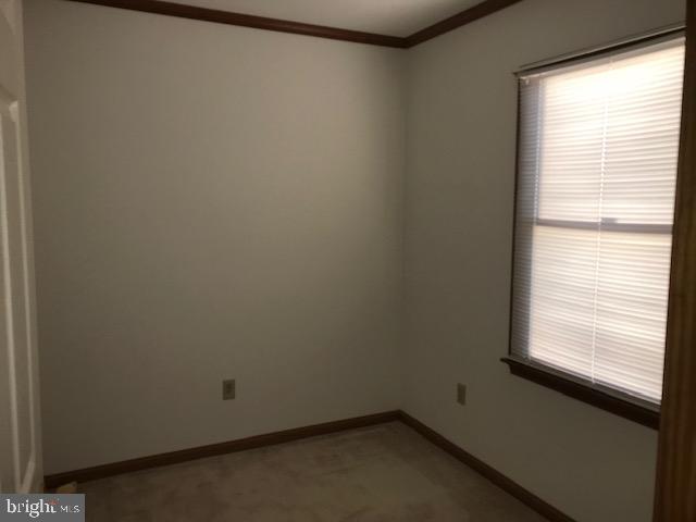 8020 Ironshire Station Road Berlin, MD 21811 - Photo 10 of 13