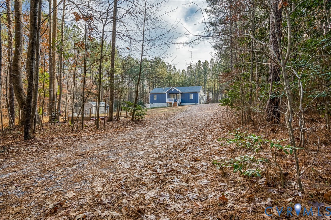 a view of backyard with trees