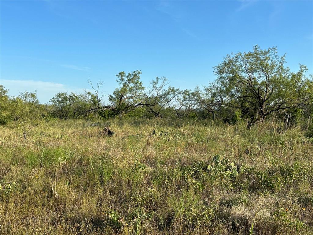 281 South Hamilton Tx 76531 Hamilton, TX 76531 - Photo 12 of 28 a view of a lake from a yard