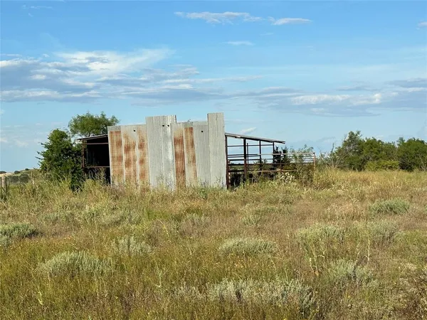 a view of a lush green forest with lots of trees