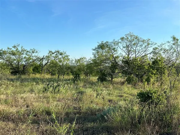 a view of a tree in a yard