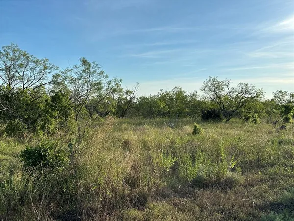 a view of a lake in middle of forest