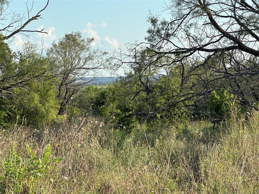 281 South Hamilton Tx 76531 Hamilton, TX 76531 - Photo 17 of 28 a view of a tree in a yard