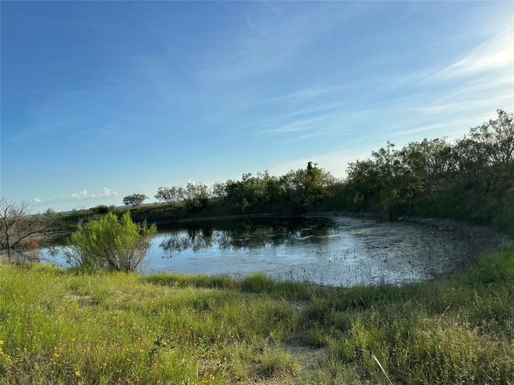 281 South Hamilton Tx 76531 Hamilton, TX 76531 - Photo 18 of 28 a view of a lake in middle of forest