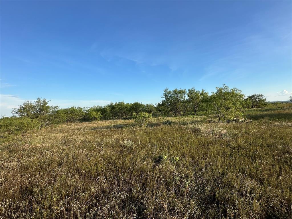 281 South Hamilton Tx 76531 Hamilton, TX 76531 - Photo 20 of 28 a view of a field with a tree in the background