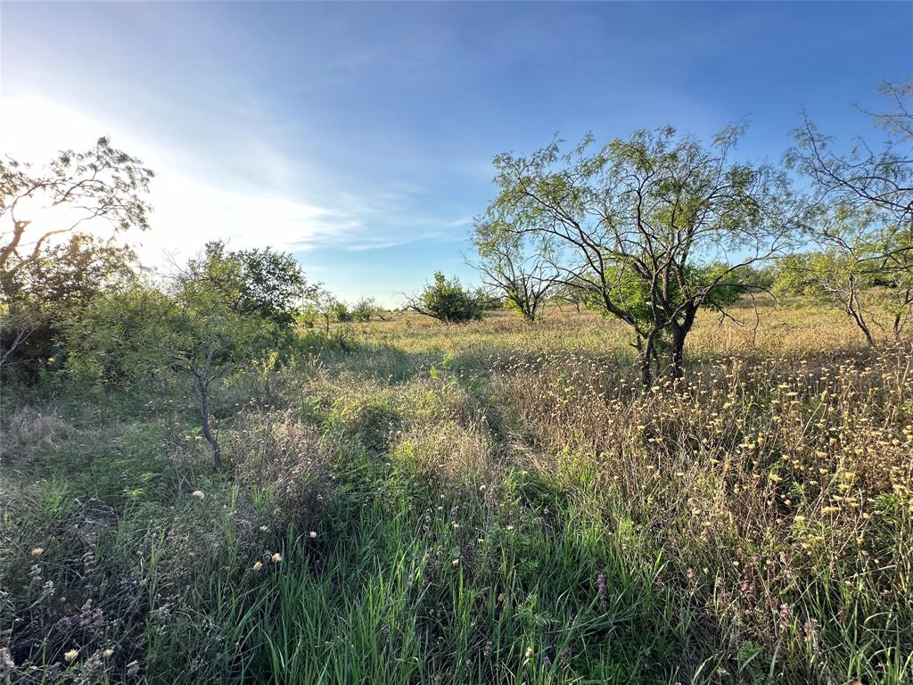 281 South Hamilton Tx 76531 Hamilton, TX 76531 - Photo 25 of 28 a view of a yard