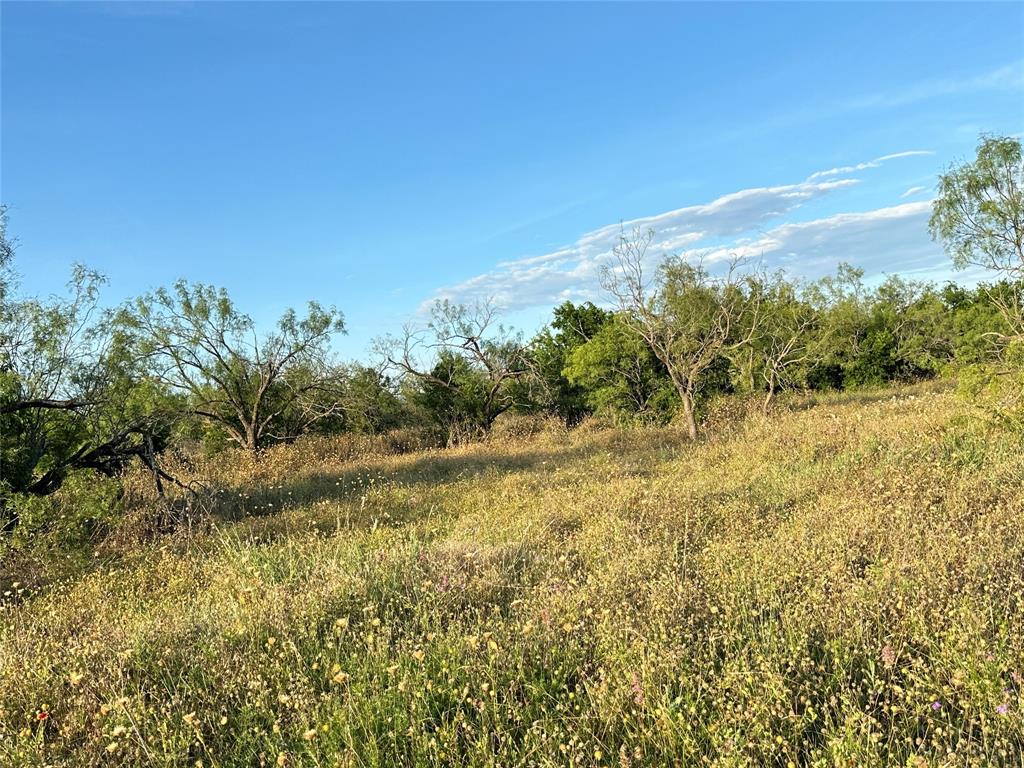 281 South Hamilton Tx 76531 Hamilton, TX 76531 - Photo 26 of 28 a view of lake view and mountain view