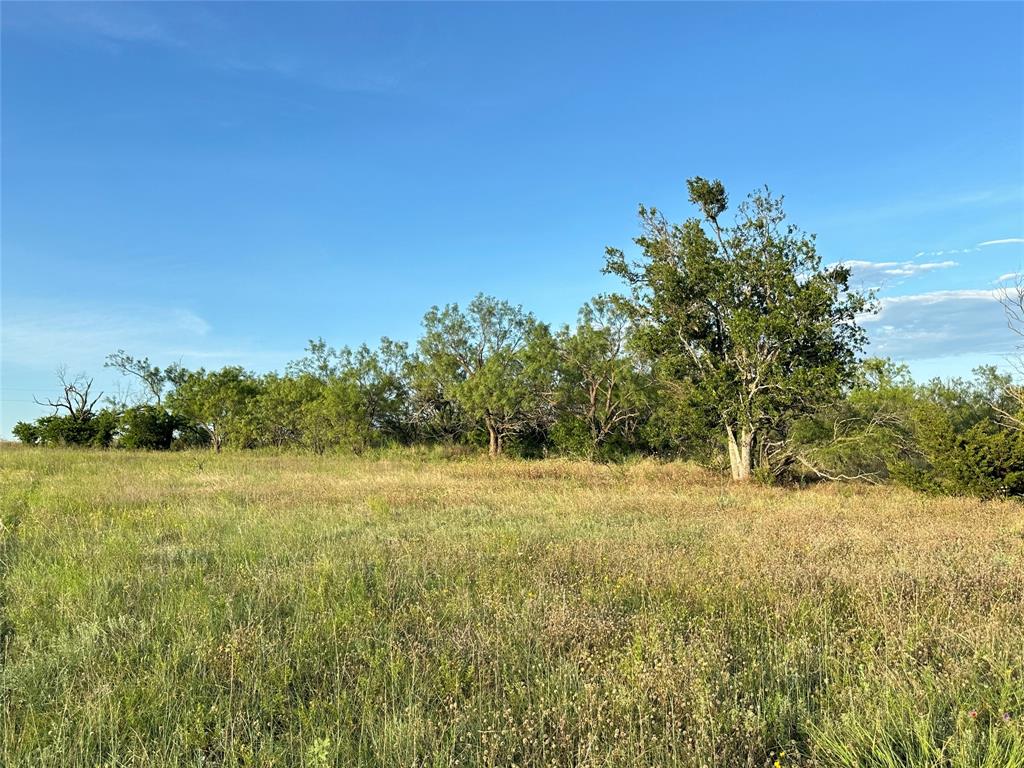 281 South Hamilton Tx 76531 Hamilton, TX 76531 - Photo 27 of 28 a view of a yard with an trees