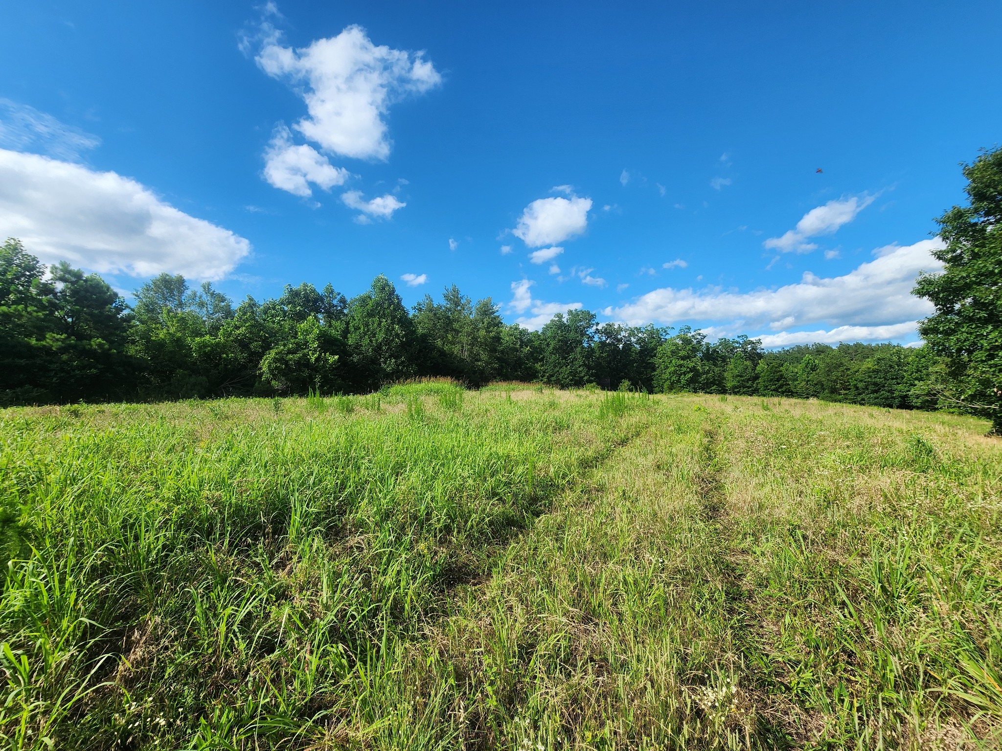 0 Sinking Creek Road Linden, TN 37096 - Photo 20 of 23